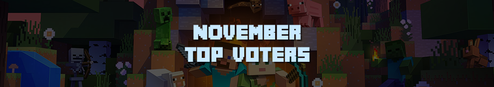 Top Voters November